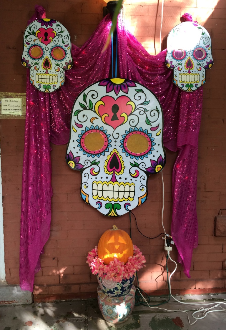 Halloween Decor, Dia De Los Muertos Style! or…What I did outside the ...